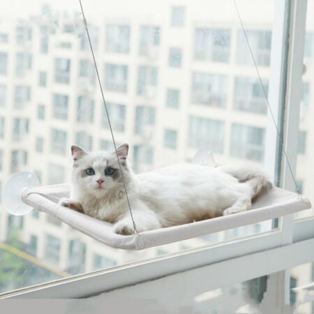 Blue Cat Window Hammock in Khaki