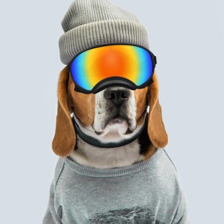 Dog Goggles - Dog Sunglasses Glasses - Dog Ski Goggles with UV Protection - Gentlepuppy.com