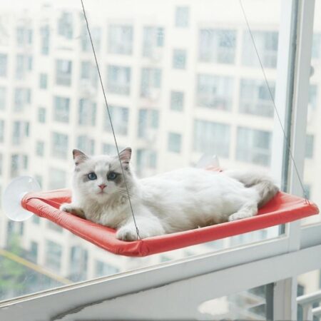 Blue Cat Window Hammock in brick red